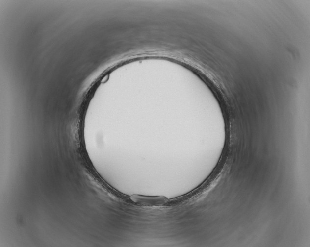 X0000112111502200909011134