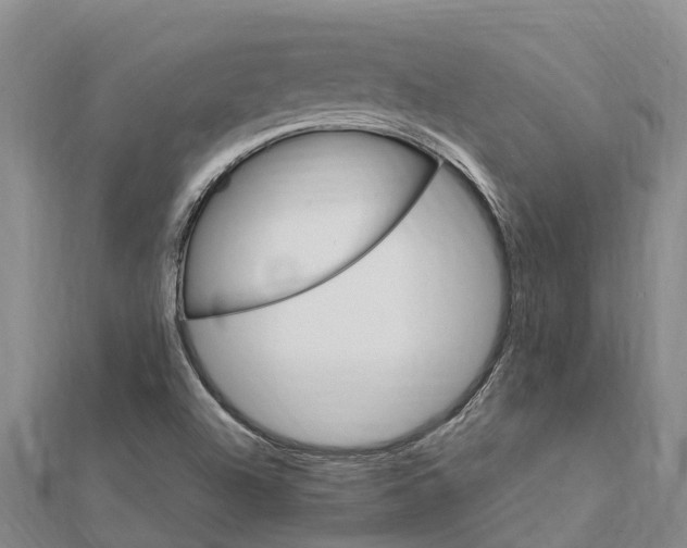 X0000112111504200909011134