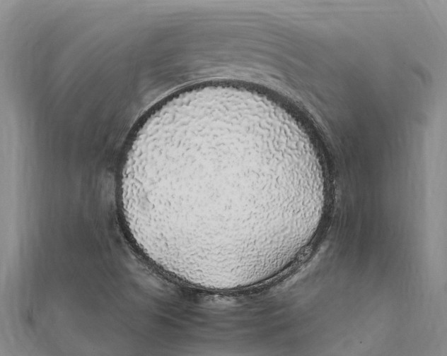 X0000112111505200909011134