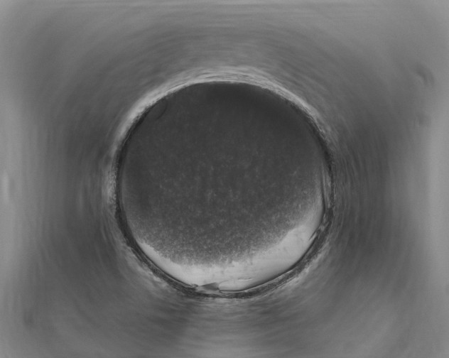 X0000112111506200909011134