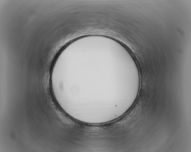 X0000112111507200909011134