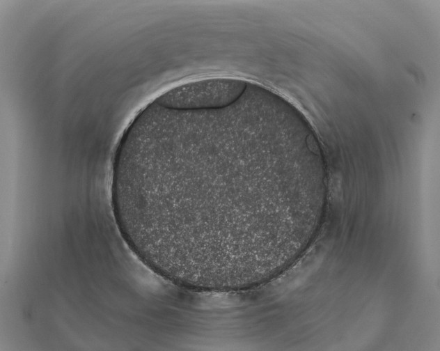 X0000112111508200909011134