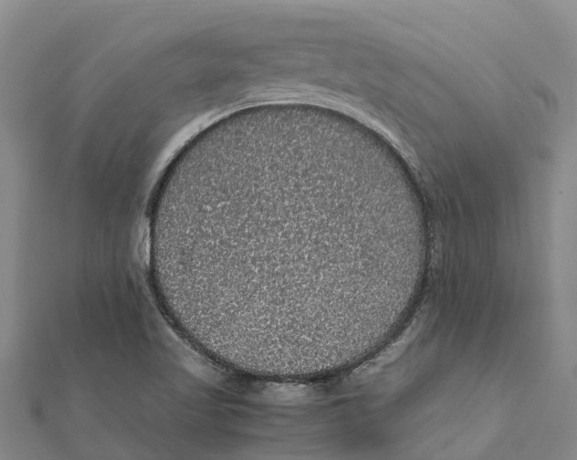 X0000112111509200909011134