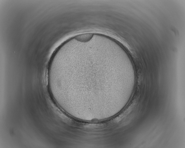 X0000112111510200909011134