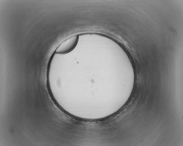 X0000112111512200909011134