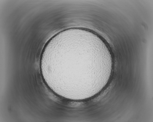 X0000112111513200909011134