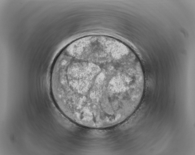 X0000112111514200909011135