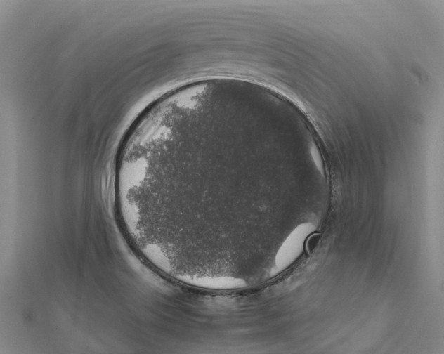 X0000112111515200909011135