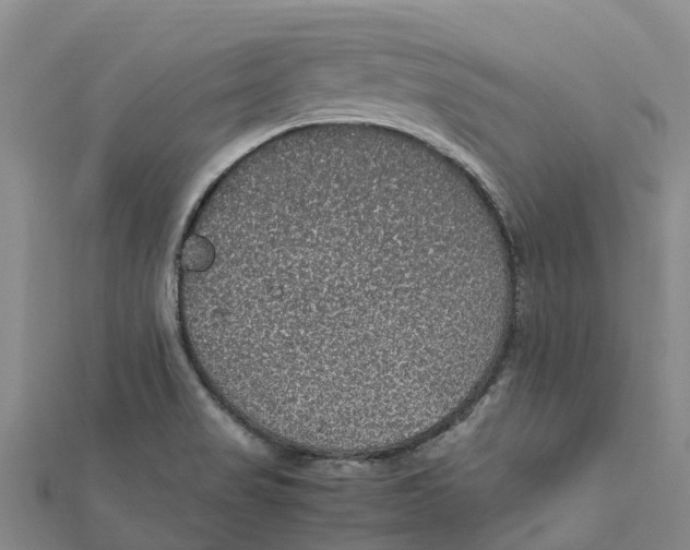 X0000112111517200909011135