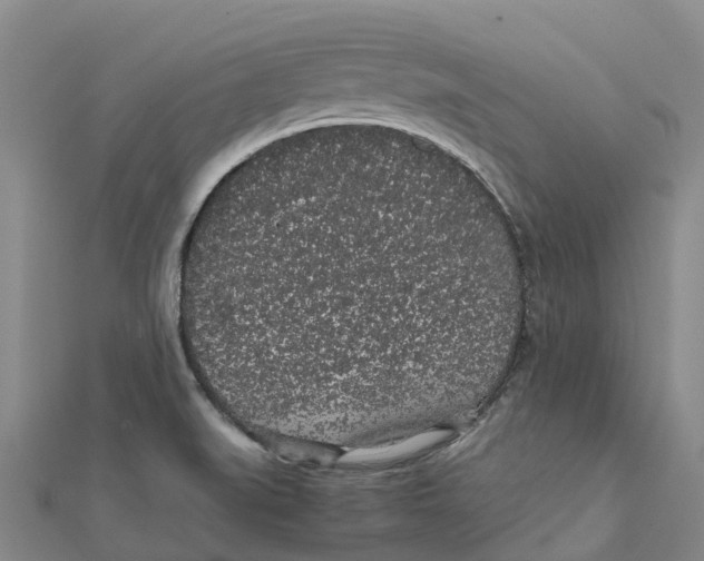 X0000112111519200909011135