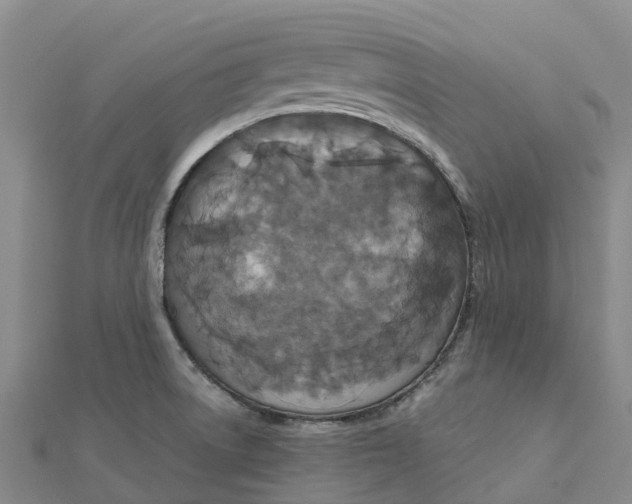 X0000112111522200909011135