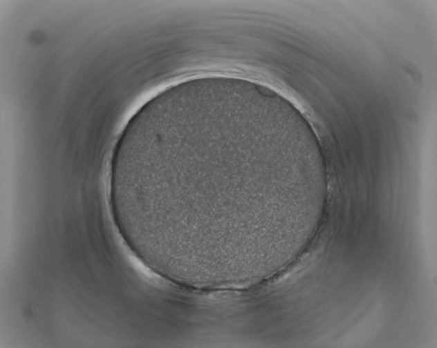 X0000112111523200909011135