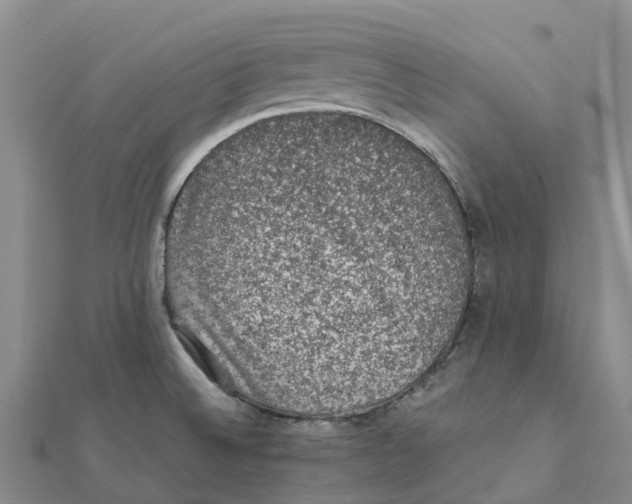 X0000112111524200909011135