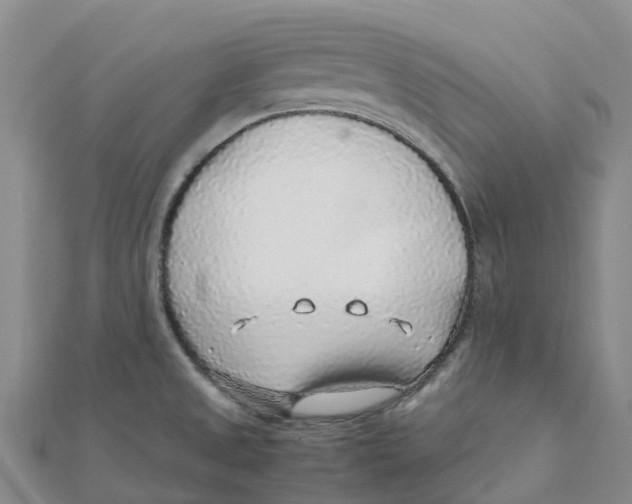 X0000112111525200909011135