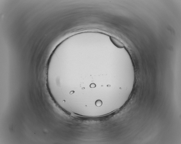 X0000112111526200909011135