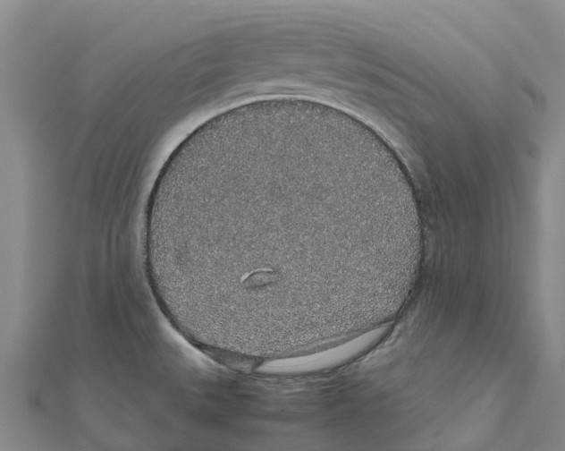 X0000112111527200909011135