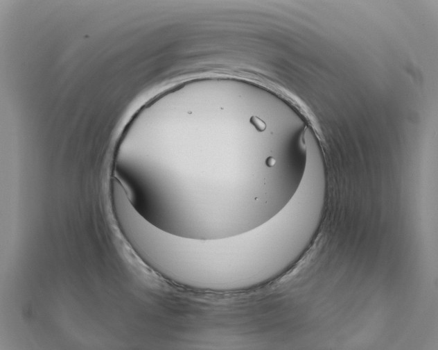 X0000112111530200909011135