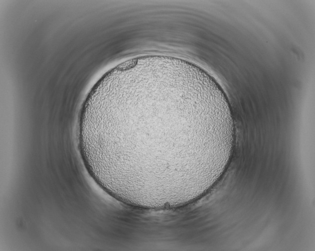 X0000112111531200909011135