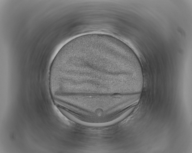 X0000112111532200909011135