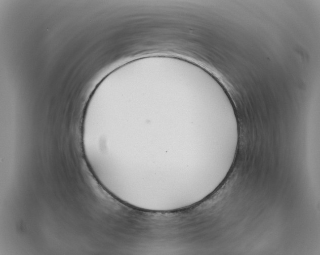 X0000112111534200909011135