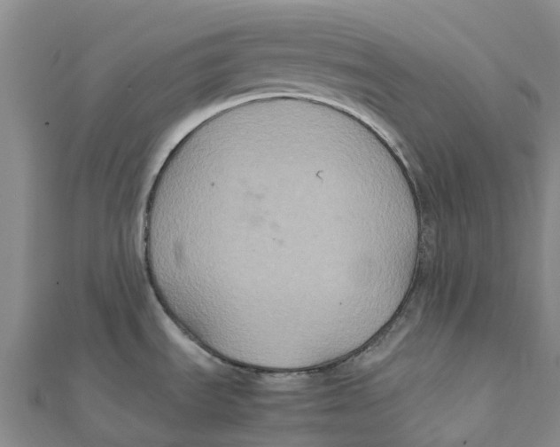 X0000112111535200909011135