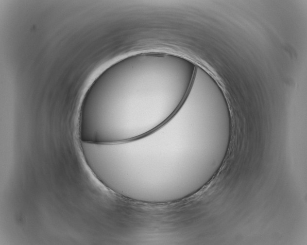 X0000112111536200909011135