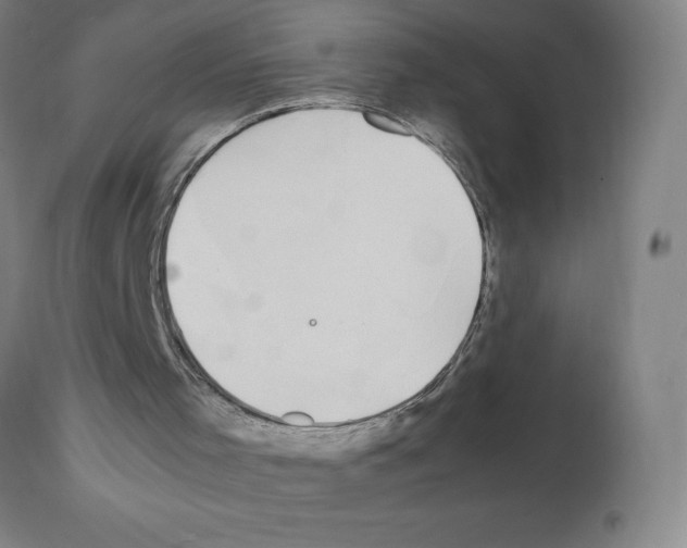 X0000112110001200909151236
