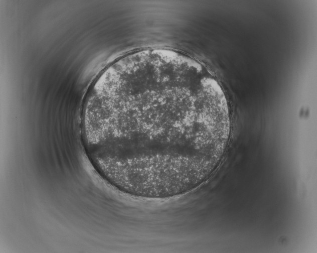 X0000112110002200909151236