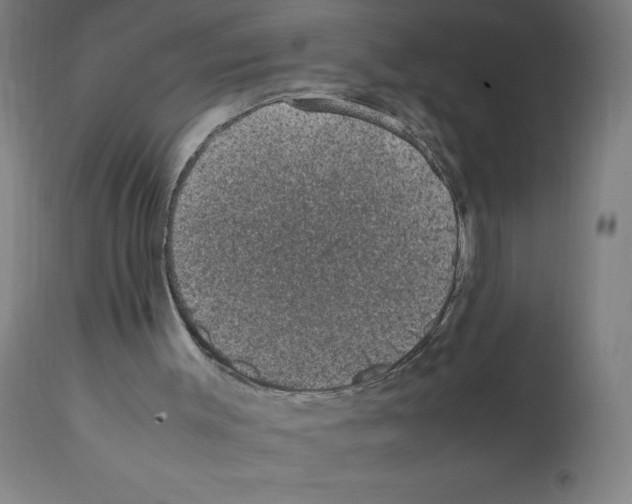 X0000112110003200909151236