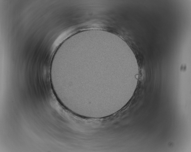 X0000112110004200909151236