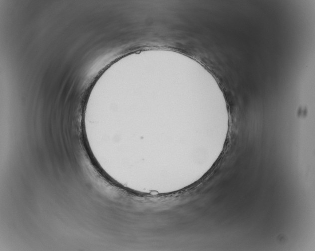 X0000112110005200909151236