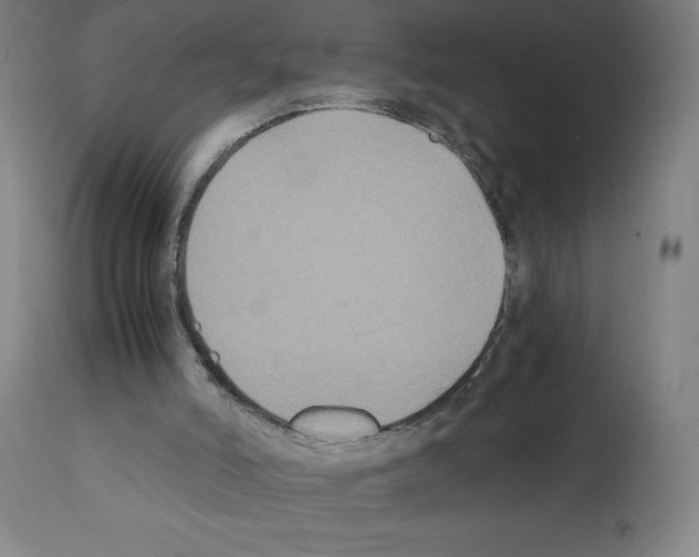 X0000112110006200909151235