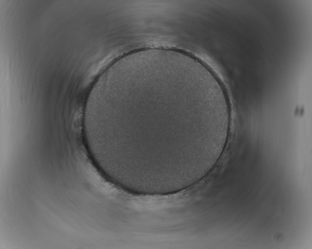 X0000112110009200909151235