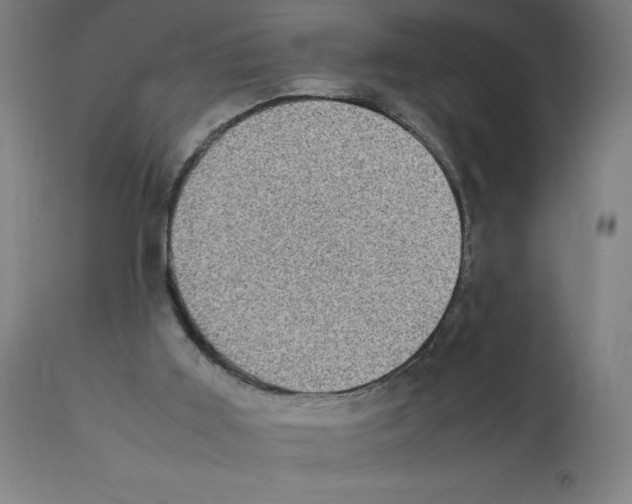 X0000112110011200909151235