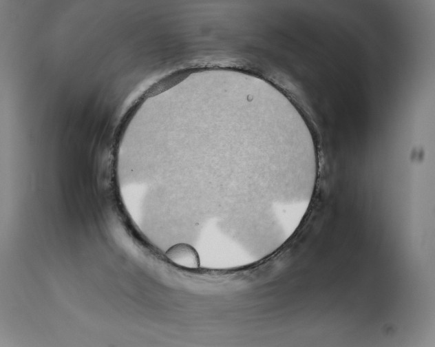 X0000112110012200909151235