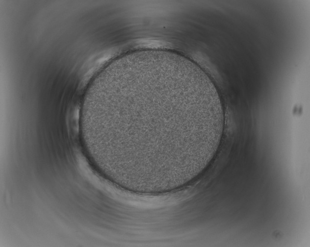 X0000112110014200909151235