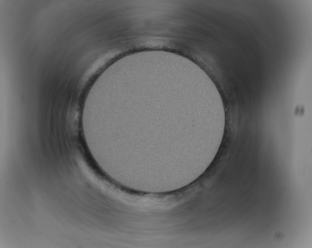 X0000112110016200909151235