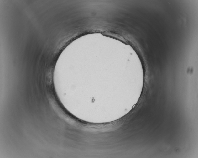 X0000112110017200909151235