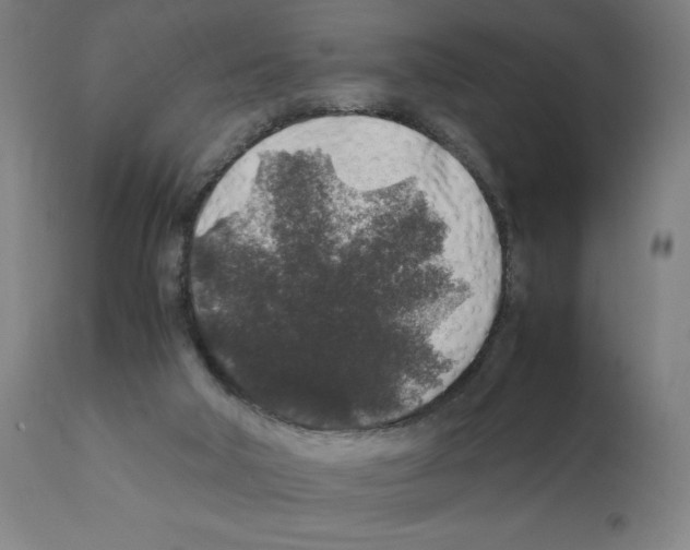 X0000112110018200909151235
