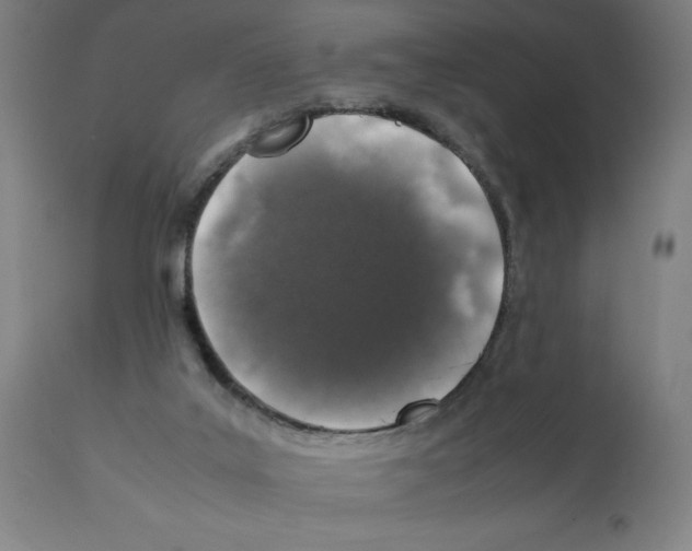 X0000112110019200909151235
