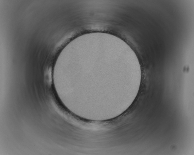 X0000112110020200909151235