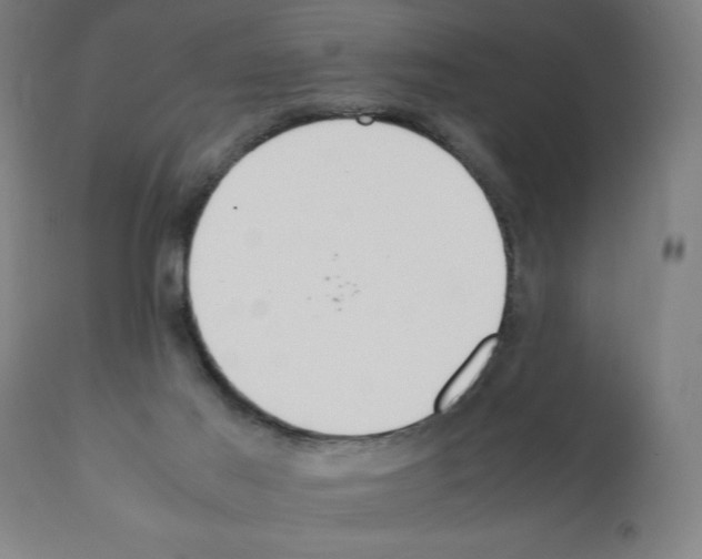 X0000112110021200909151235