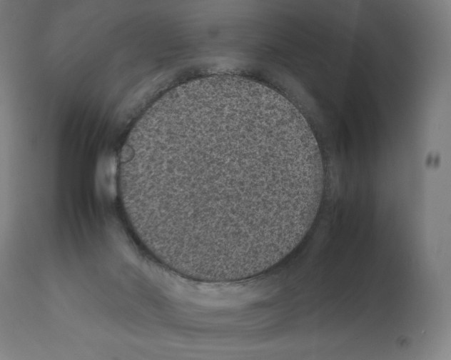 X0000112110022200909151235
