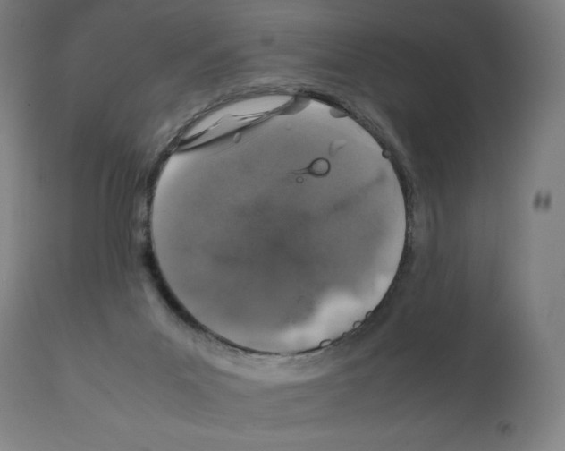X0000112110023200909151235