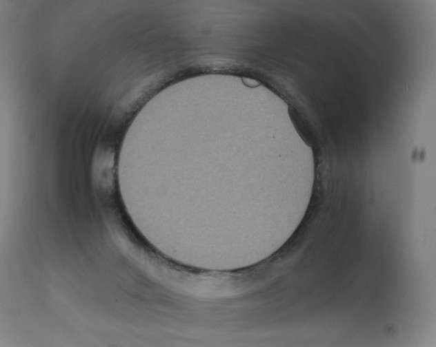 X0000112110024200909151235