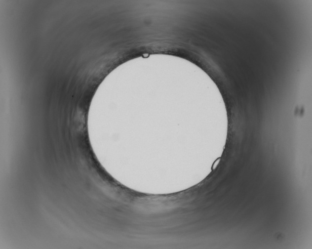 X0000112110025200909151235