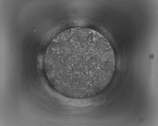 X0000112110026200909151235