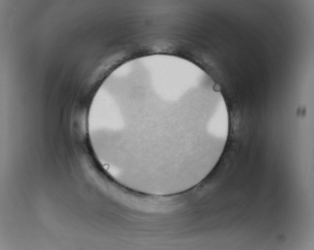 X0000112110028200909151235