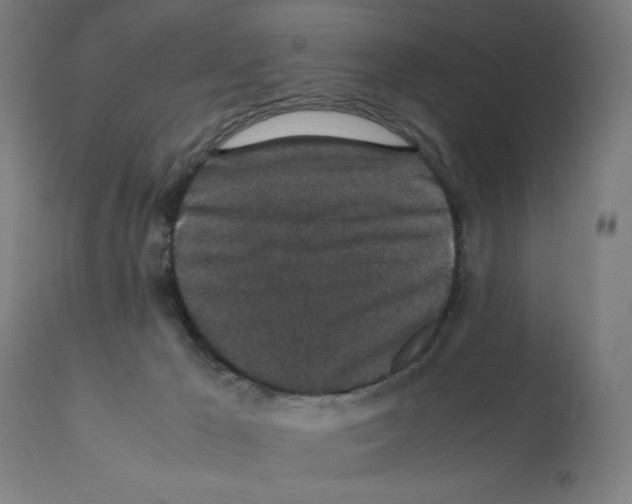 X0000112110029200909151235