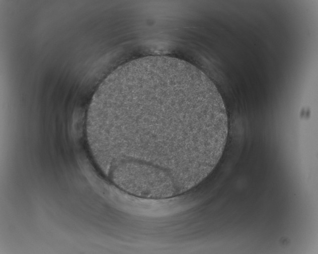 X0000112110030200909151235